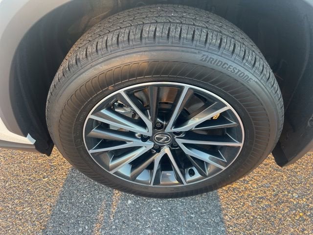 2025 Lexus NX NX 350h Premium